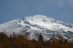 Khách du lịch chiêm ngưỡng núi Phú Sĩ mùa lá vàng. (Nguồn: Hy Hữu/TTXVN)