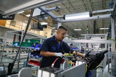 Nông dân Mexico đang thu hoạch. (Nguồn: California Agriculture)