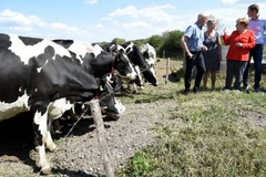 Mùa màng “thất bát”, nông dân Đức kêu gọi chính phủ trợ cấp đặc biệt. (Nguồn: Independent)