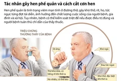 Tác nhân gây hen phế quản và cách cắt cơn hen. (Nguồn: TTXVN)