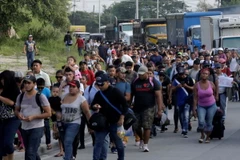 Ảnh minh họa. (Nguồn: Reuters)