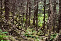 Hiện tượng mặt đất biết thở gây sửng sốt cho người xem. (Nguồn: Amazing Earth)