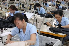 Ảnh minh họa. (Nguồn: TTXVN)