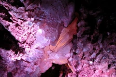 Thạch anh tím. (Nguồn: Internet) 