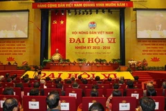 Quang cảnh Đại hội đại biểu toàn quốc Hội nông dân Việt Nam lần thứ VI. (Ảnh: Trí Dũng/TTXVN)
