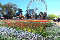 (Ảnh: Đỗ Vân/Vietnam+)