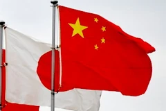 Ảnh minh họa. (Nguồn: Internet)