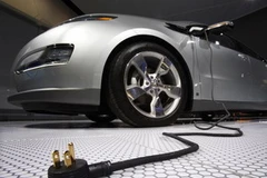 Ảnh minh họa. (Nguồn: goinggreenarticles.org)