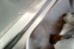 Suất cơm có giòi mà công nhân ghi lại bằng điện thoại.