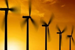 Công viên điện gió lớn nhất châu Phi có công suất 140 megawat. (Nguồn: Internet)