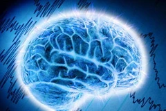 Ảnh chỉ mang tính minh họa. (Nguồn: Internet)