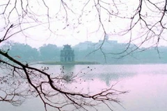 Ảnh minh họa. (Nguồn: Internet)