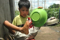 Cậu bé “chim cánh cụt” Hồ Hữu Hạnh giúp mẹ rửa bát đĩa. (Nguồn: báo Dân trí) 