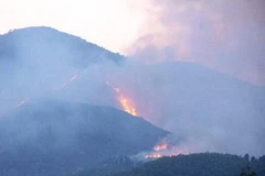 Cháy rừng ở rừng đặc dụng Nam Hải Vân. (Nguồn: TTXVN)