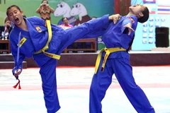 Ảnh minh họa. (Nguồn: TTXVN)