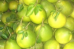 Bưởi đường lá cam Tân Triều. (Nguồn: Internet)