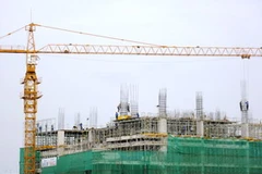 Ảnh minh họa. (Nguồn: Wikipedia)