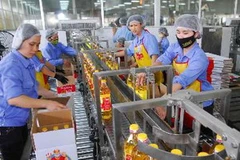 Dây chuyền sản xuất tại Công ty dầu thực vật Cái Lân. (Ảnh: Hồng Kỳ/TTXVN)