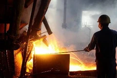 Ảnh minh họa. (Nguồn: TTXVN)