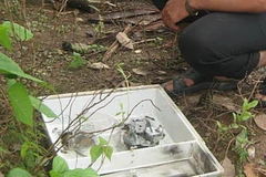 Nắp che và chiếc đồng hồ điện trên trụ điện ở xã Đồng Tiến bị sét đánh vỡ toang. (Ảnh: Hoàng Tiến/Vietnam+)