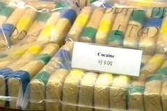 Ảnh minh họa. (Nguồn: Internet)