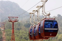 Ảnh minh họa. (Nguồn: TTXVN)