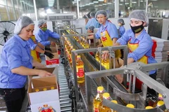 Dây chuyền sản xuất tại Công ty dầu thực vật Cái Lân (vốn đầu tư Singapore), Quảng Ninh. (Ảnh: Hồng Kỳ/TTXVN)
