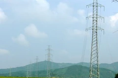 Ảnh minh họa. (Nguồn: Internet)