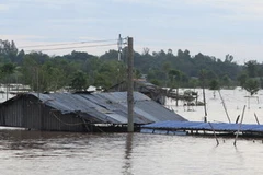 Cảnh ngập lụt tại Hồng Ngự (Đồng Tháp). (Ảnh: Duy Khương/TTXVN)