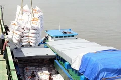 Bốc xếp gạo xuất khẩu tại cảng Công nghiệp tàu thủy, Thành phố Hồ Chí Minh. (Ảnh: Đình Huệ/TTXVN)