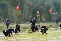 Lễ xuống đồng của đồng bào dân tộc Tày trong lễ hội Lồng tồng. (Nguồn: TTXVN) 