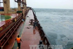 Tàu Bright Royal (Panama) đã được neo đậu an toàn sau thời gian bị trôi dạt trên biển. (Ảnh: Đinh Thị Hương/TTXVN)