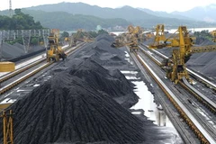 Ảnh minh họa. (Ảnh: Kim Phương/TTXVN) 