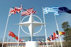 Ảnh minh họa. (Nguồn: Internet)