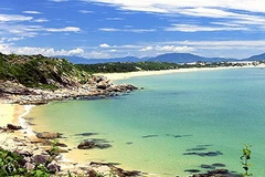 Ảnh minh họa. (Nguồn: Internet)