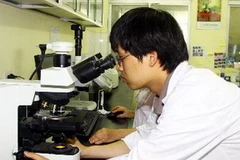 Ảnh minh họa. (Nguồn: TTXVN)