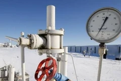 Ảnh minh họa. (Nguồn: Internet)