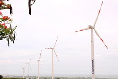 Hệ thống năng lượng gió tại huyện Tuy Phong, tỉnh Bình Thuận. (Ảnh: Ngọc Hà/TTXVN)