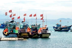 Tàu cá ở huyện đảo Lý Sơn. (Nguồn: Internet)