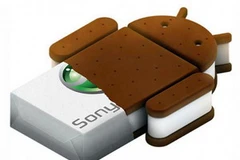 Ảnh minh họa. (Nguồn: Internet)