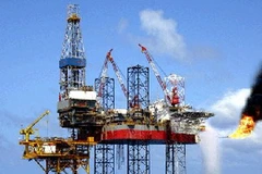 Ảnh minh họa. (Nguồn: Internet)