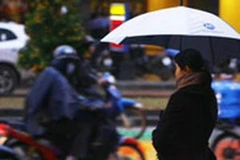 Ảnh minh họa. (Nguồn: Internet)