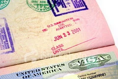 Ảnh có tính minh họa. (Nguồn: Internet)