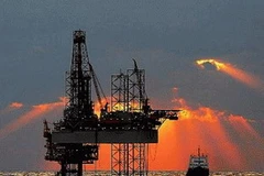 Ảnh minh họa. (Nguồn: Internet)