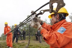 Ảnh minh họa. (Ảnh: Ngọc Hà/TTXVN)