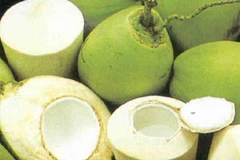 Ảnh minh họa. (Nguồn: Internet)