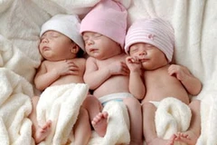 Ảnh minh họa. (Nguồn: Internet)