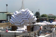 Bốc xếp hàng hóa xuất khẩu tại cảng Biển Đông (Quận 7, Thành phố Hồ Chí Minh). (Ảnh: Kim Phương/TTXVN)