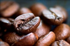 Ảnh minh họa. (Nguồn: Internet)