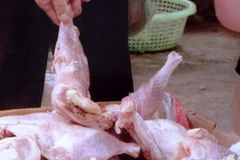 Thịt gà đông lạnh không rõ nguồn gốc. Ảnh minh họa. (Nguồn: Internet)